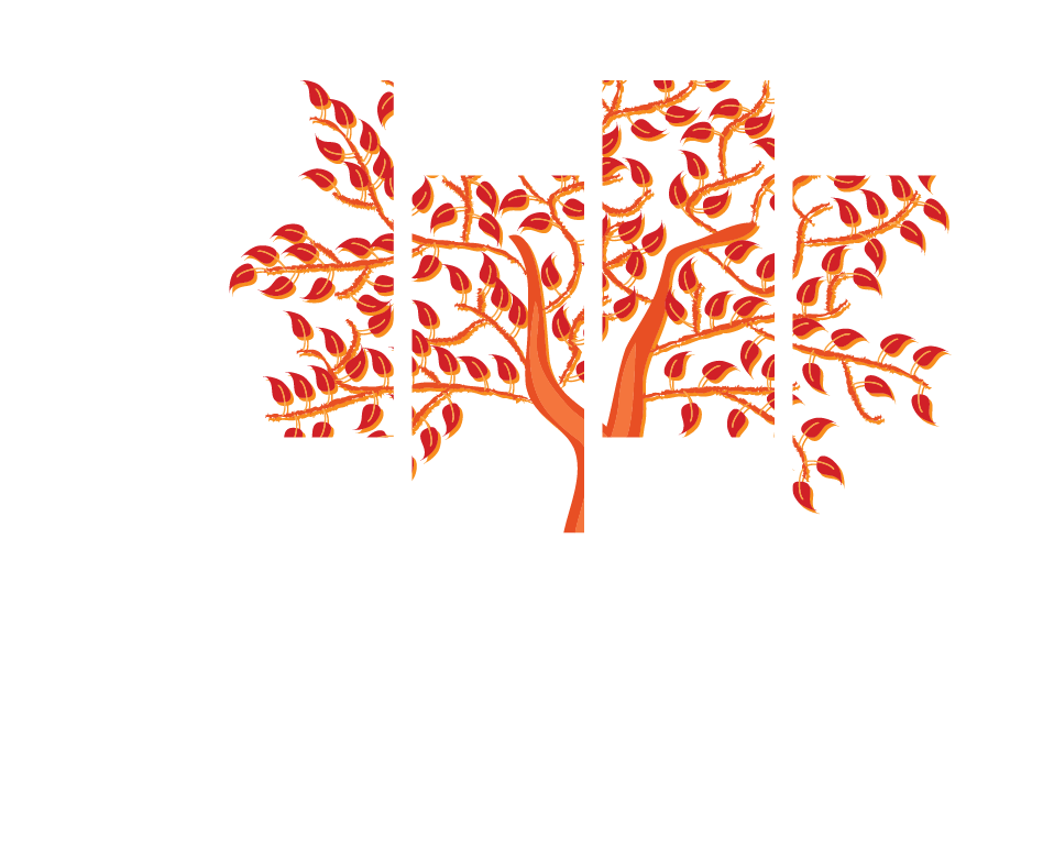 Master Window Coverings